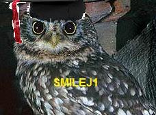 smilej1